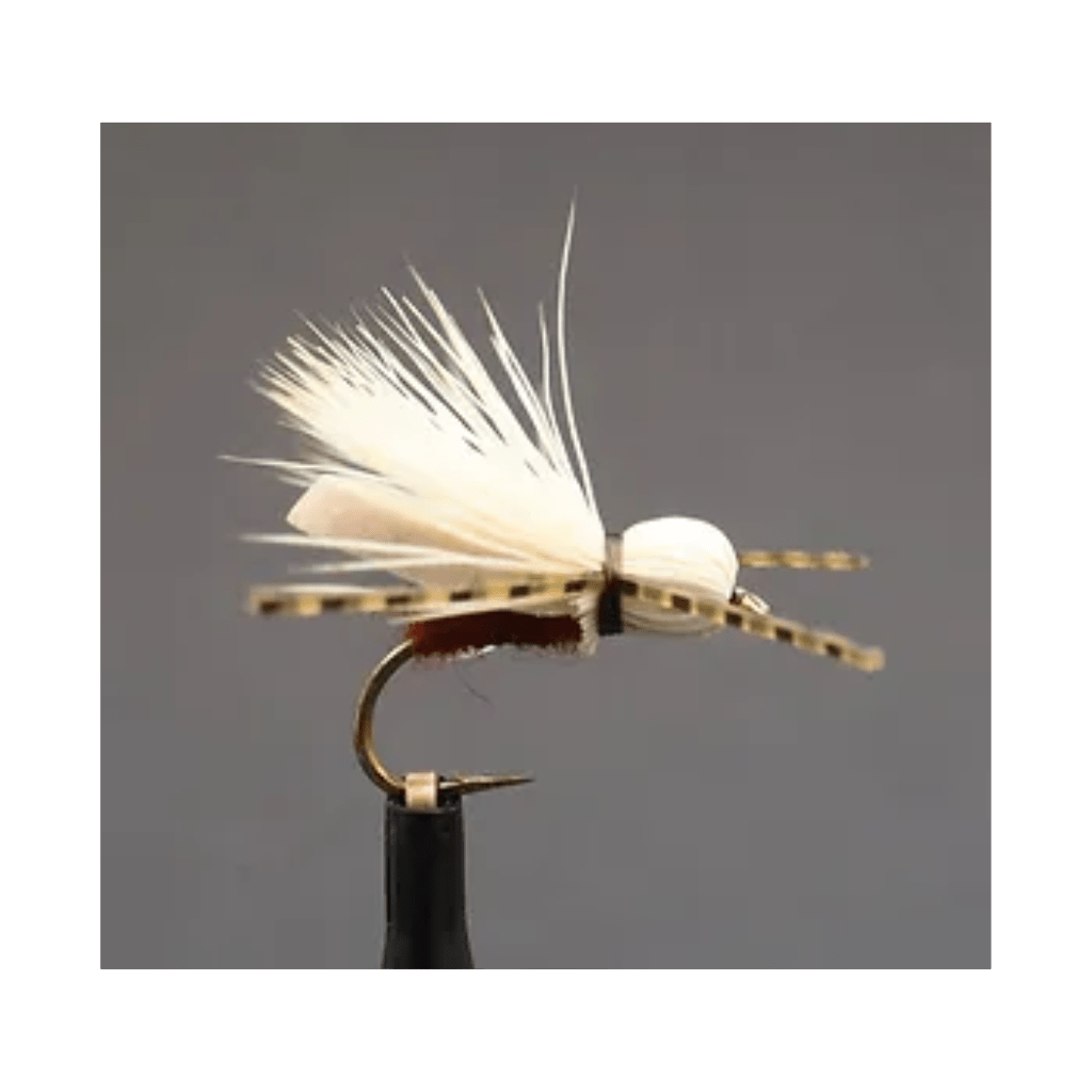 C3 Dry Fly "Five by Five"