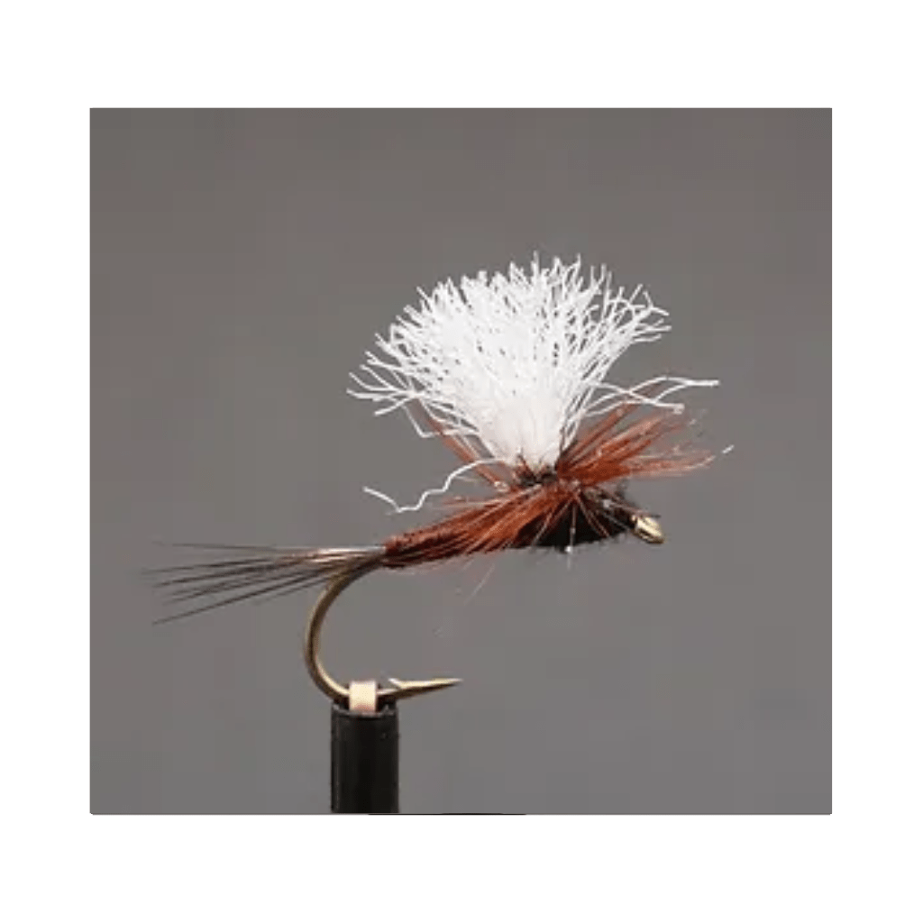 C3 Dry Fly "Tricky Situation"