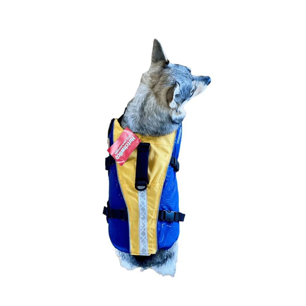 Hutchwilco K9 Mariner Dog Lifejacket - Fish City Hamilton - LGE -