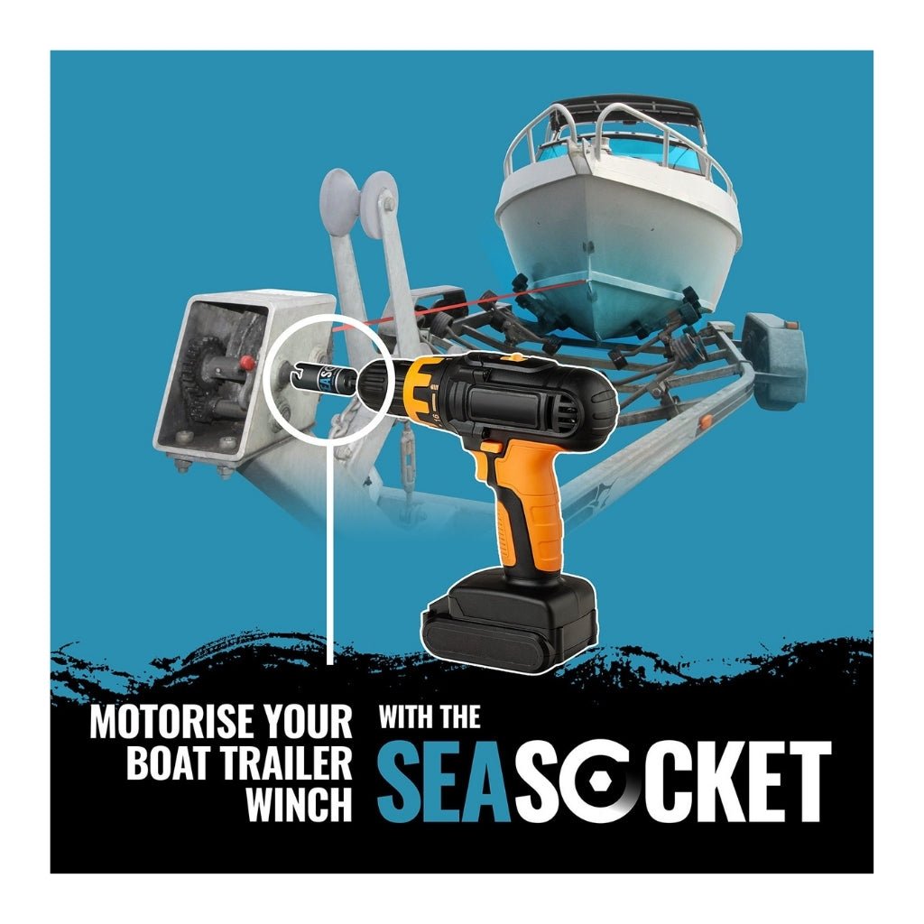 Sea Socket - Fish City Hamilton - -